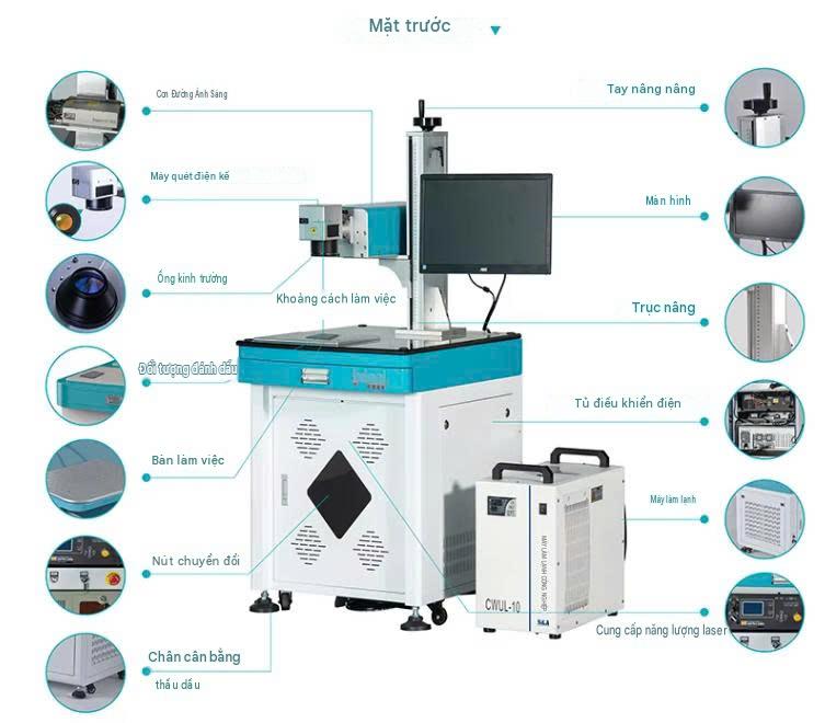 cấu tạo mặt trước